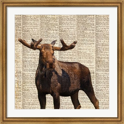 Framed Country Moose I Print