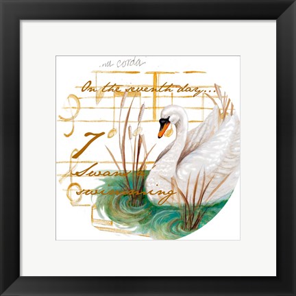 Framed Seven Swans a-Swimming Print