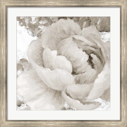 Framed Light Grey Flowers II Print