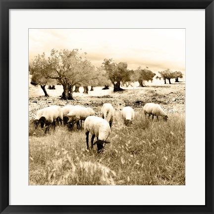Framed Out In The Fields Print