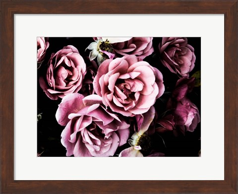 Framed Baroque Roses Print
