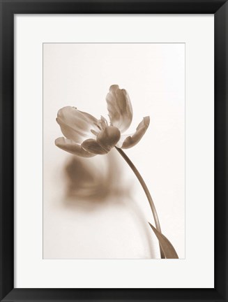 Framed Delicate Floral I Print
