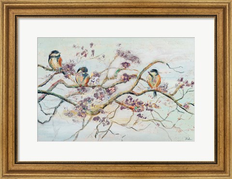 Framed Birds On Cherry Blossom Branch Print