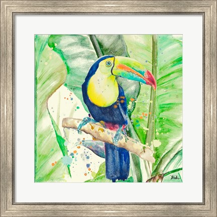 Framed Colorful Toucan Print