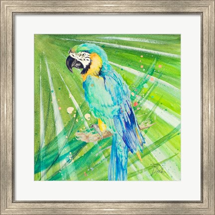 Framed Colorful Parrot Print