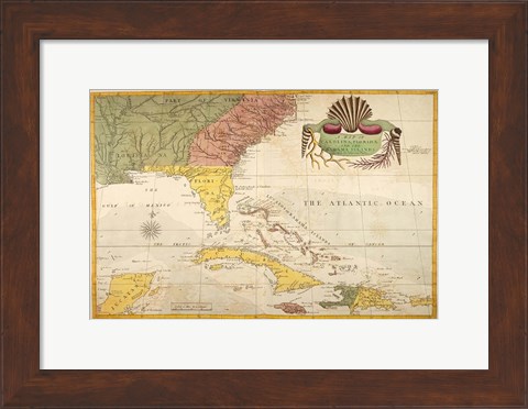 Framed Map of Carolina, Florida &amp; the Bahama Islands Print