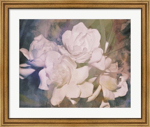 Framed Blush Gardenia Beauty I Print