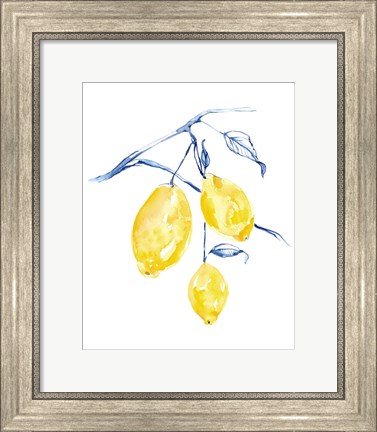 Framed Watercolor Lemons I Print