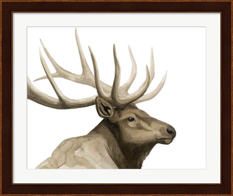 Framed Call of the Elk I Print