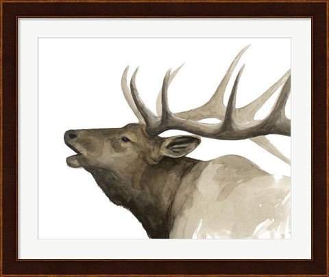 Framed Call of the Elk II Print