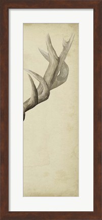 Framed Triptych Elk III Print