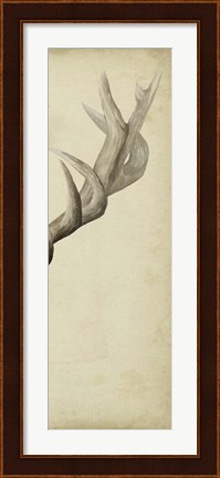 Framed Triptych Elk III Print