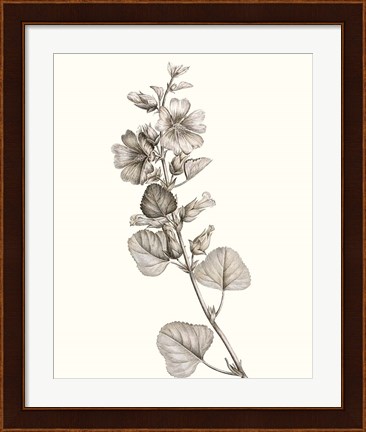 Framed Neutral Botanical Study I Print