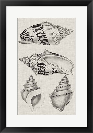 Framed Charcoal &amp; Linen Shells IV Print