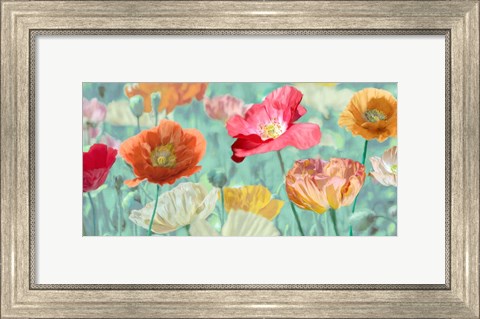 Framed Poppies in Bloom Print