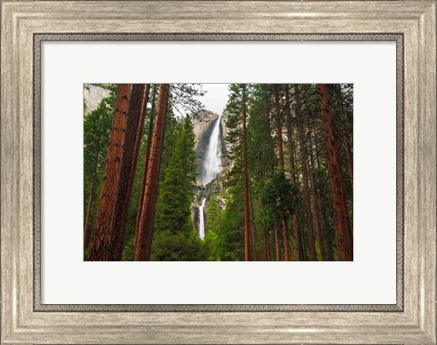Framed Yosemite Falls Through A Forest Print