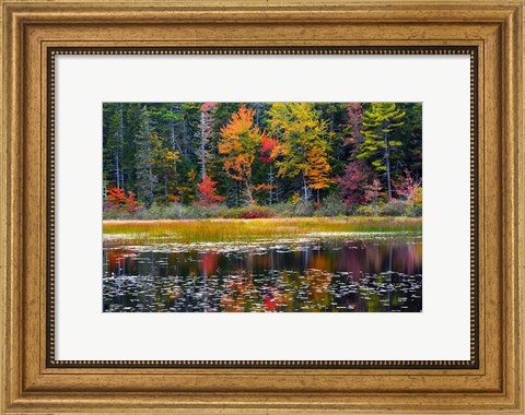 Framed Somes Pond In Autumn, Somesville, Maine Print
