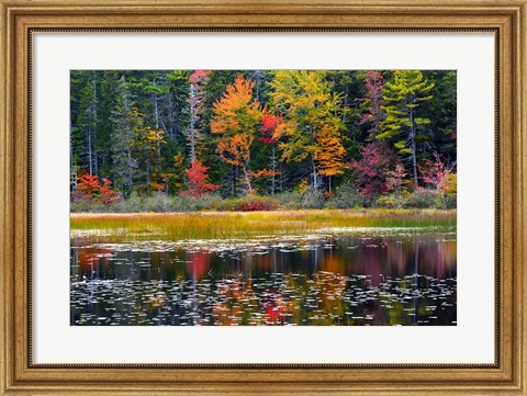 Framed Somes Pond In Autumn, Somesville, Maine Print