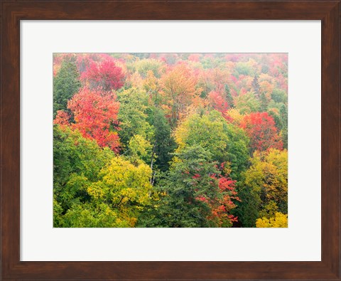 Framed Forest Above The Cut River Bridge, Michigan Print