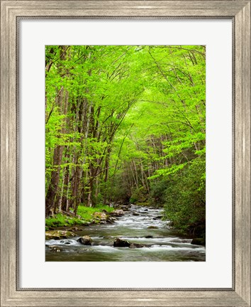 Framed Straight Fork River, North Carolina Print