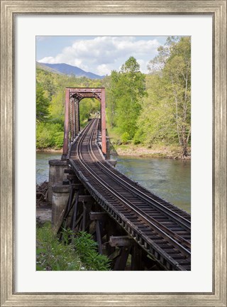 Framed Abandoned Railroad Trestle, North Carolina Print