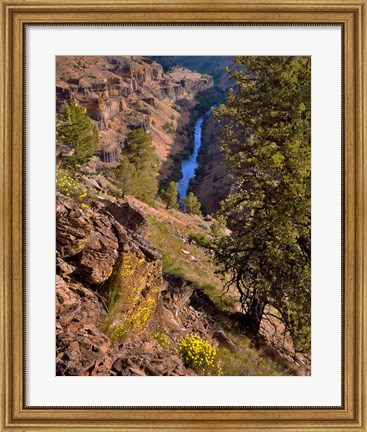 Framed Deschutes Canyon Landscape, Oregon Print