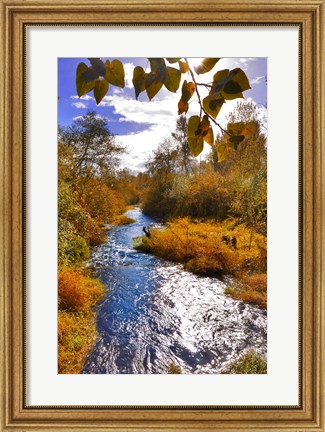 Framed Scenic View Of Dieckman Creek, Oregon Print