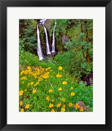 Framed Triple Falls, Oregon Print