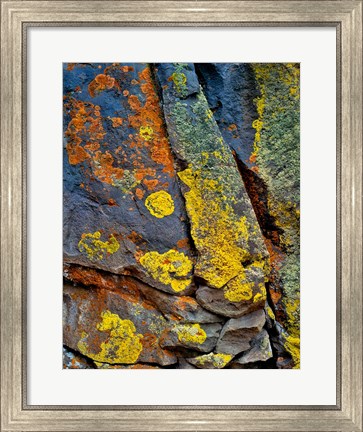 Framed Lichen Covered Basalt Rock, Oregon Print