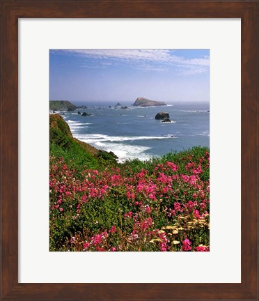 Framed Ocean Landscape Of Goat Rock And Sweet Peas, Oregon Print