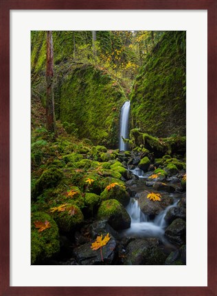 Framed Mossy Grotto Falls, Oregon Print