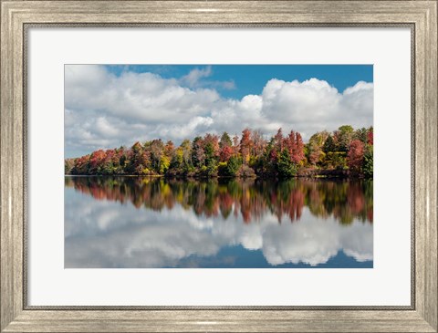 Framed Autumn Lake Reflection Of Ricketts Glen State Park, Pennsylvania Print