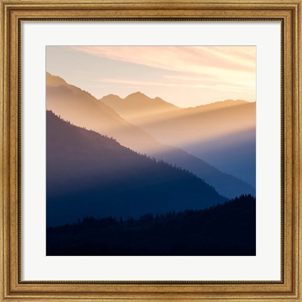 Framed Sunset In The Olympic National Forest Print