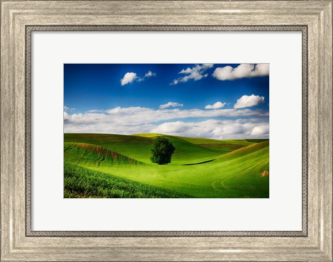 Framed Rolling Wheat Field Landscape With A Lone Tree Print