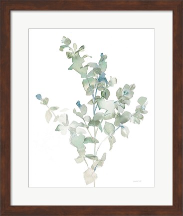 Framed Eucalyptus II Cool Print