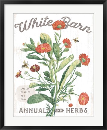 Framed White Barn Flowers IV Print