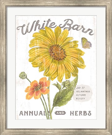 Framed White Barn Flowers I Print