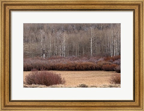 Framed Steens Mountain Meadow Print