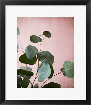 Framed Sage Eucalyptus No. 2 Print