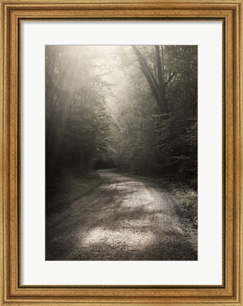 Framed Back Country Road Print