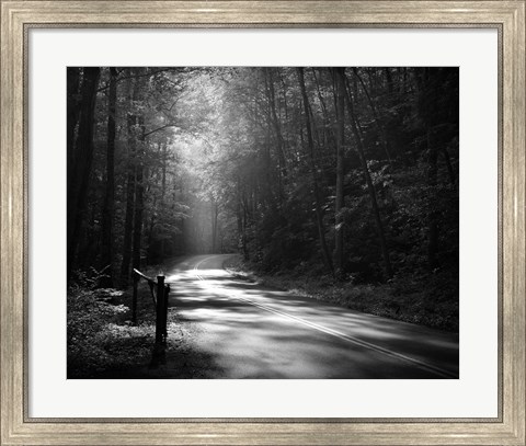Framed Tremont Road, Smoky Mountains Print