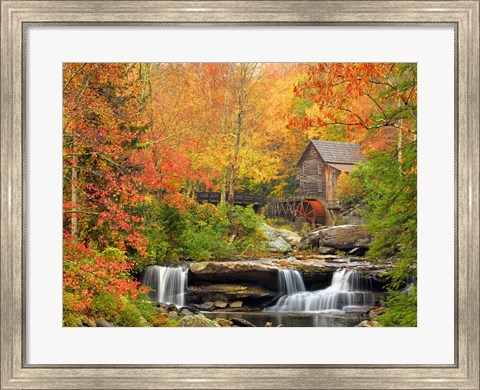 Framed Autumn Splendor Print