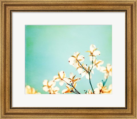 Framed Blossoms Adrift Print