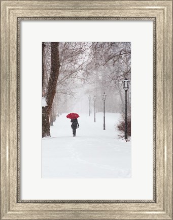 Framed Winter Rose Print
