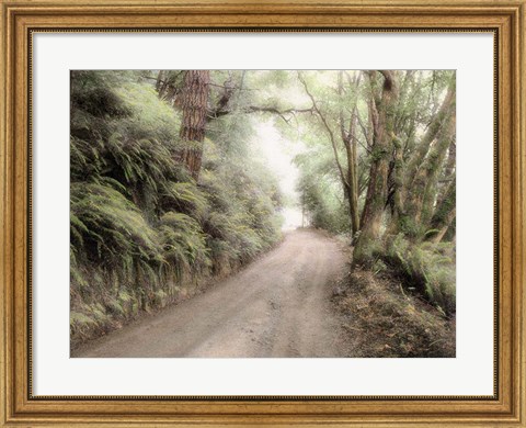 Framed Lost Coast Road Print