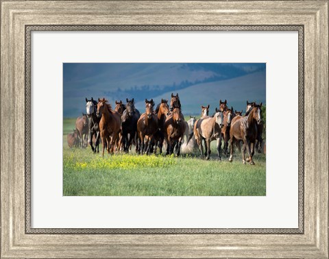 Framed Montana Thunder Print