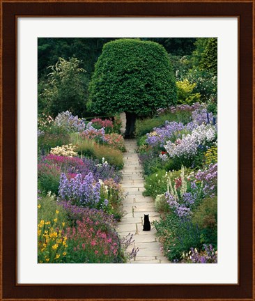 Framed Garden Cat Print