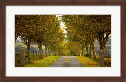 Framed Colors of Autumn Print