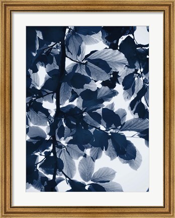 Framed Indigo Leaves Print