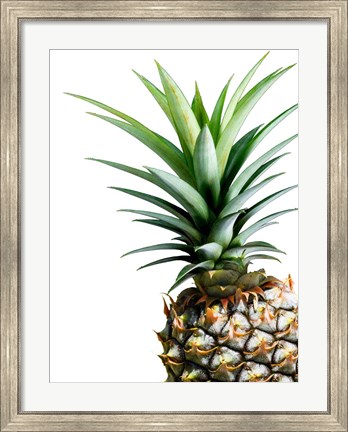 Framed Pineapple (color) Print